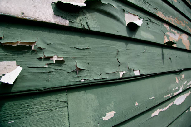 Best Residential Junk Removal  in Hernando, MS